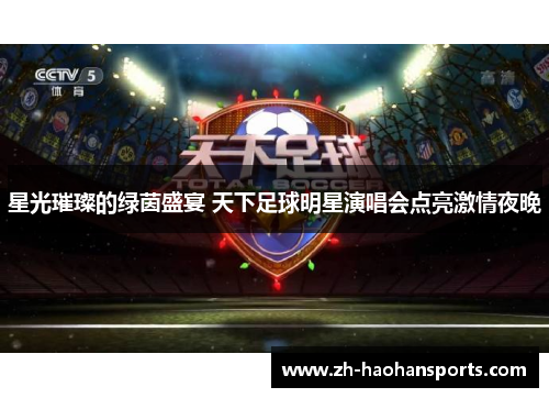 星光璀璨的绿茵盛宴 天下足球明星演唱会点亮激情夜晚